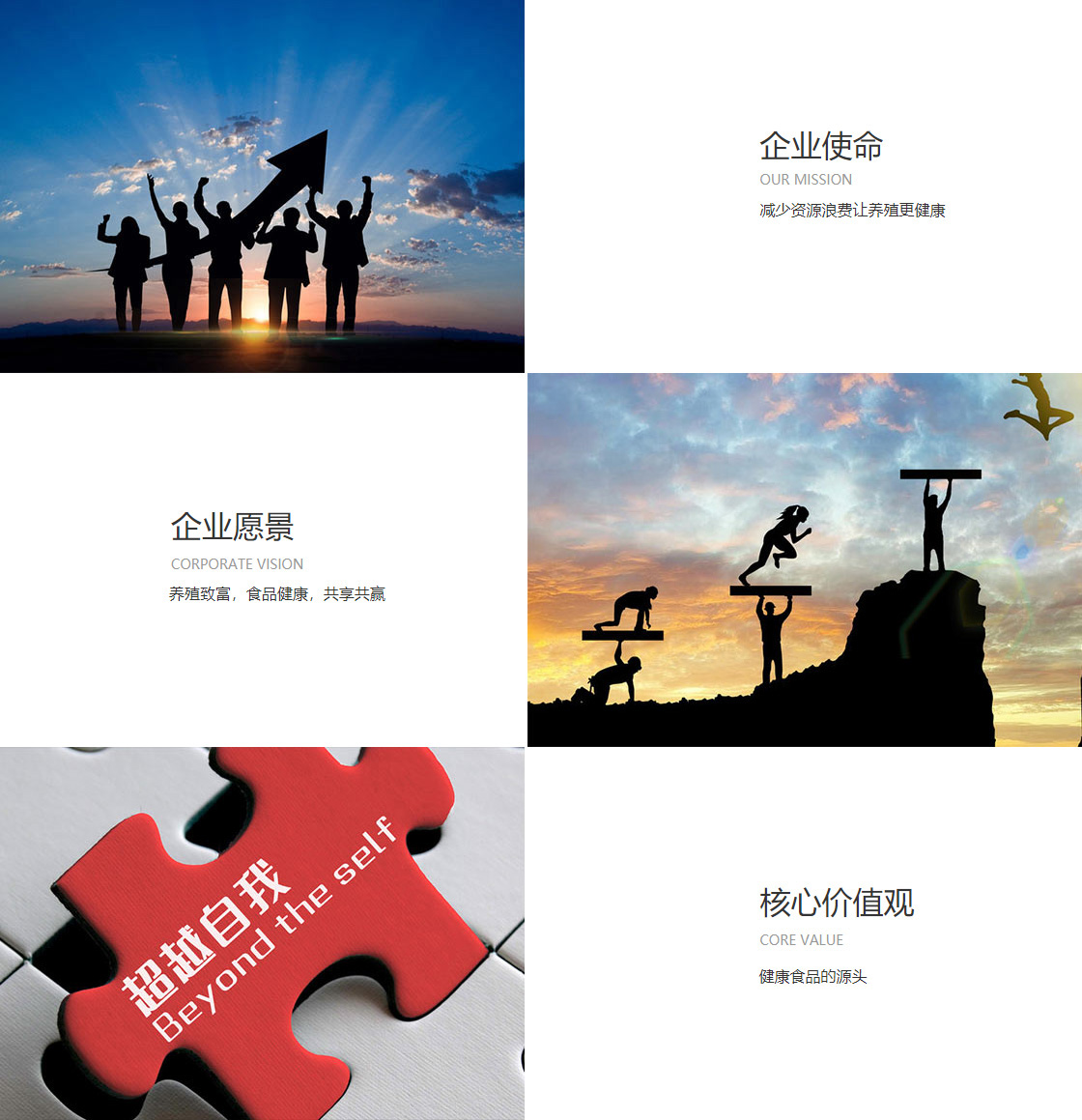 雷竞技raybet官网入口(图1)